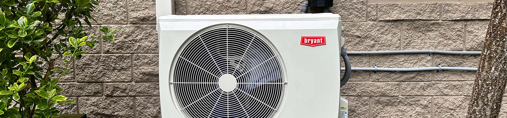 Temperature Regulator